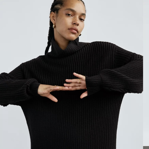 Aritzia Montpellier Dress Turtleneck 